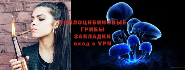 таблы Алексеевка