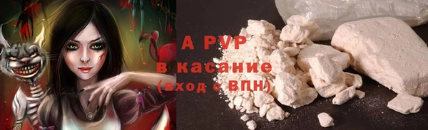 дмт Алзамай