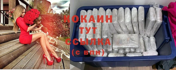 гашик Абаза